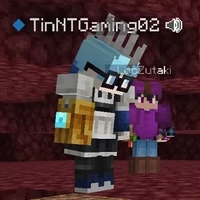 TinNT