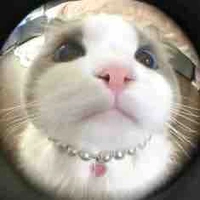 all bot(trừ ai thì trừ)