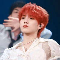 Tô Tân Hạo