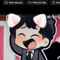 hiha fake