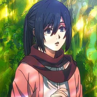 Mikasa 