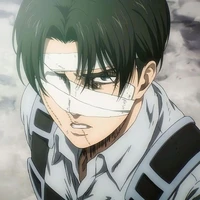 Levi