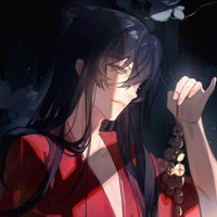 người bí ẩn(Anh Lý)