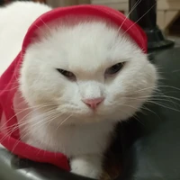 tác giả