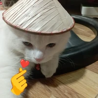 hệ thống như cứ.t