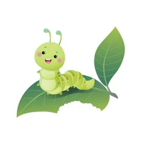 Đường Bảo
