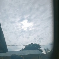 tất cả mọi người？？？