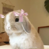 all trừ ai thì trừ