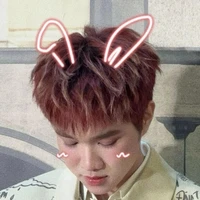 T/g iu rhycap