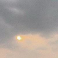 All( trừ ai thì trừ)