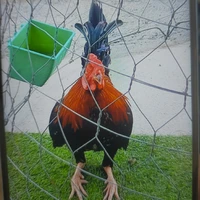 HỮU DANH