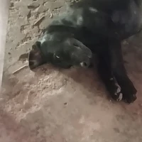 hệ thống đẹp trai