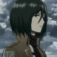 Mikasa