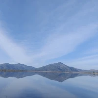 ALL