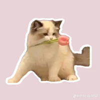 💐🍓
