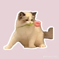 💐🍓
