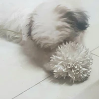 Hệ thống
