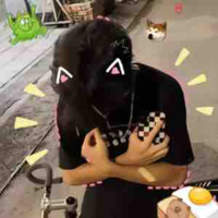 Ny của thỏ 