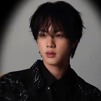 Kim Seokjin ( Jin )