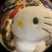 misuna mê hellokitty🌷(t/g)