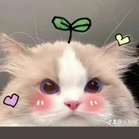 tg nhiều chuyện