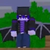 ray enderdragon