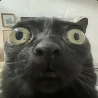 All