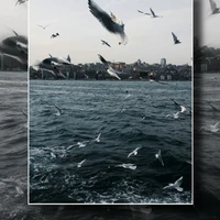 các anh( trừ ai cần trừ)