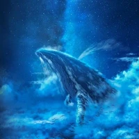 Hệ thống 129600 [ Baleine ]