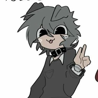 pebble( chó chứ ko phải ng)