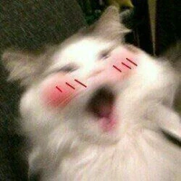 t/g owo