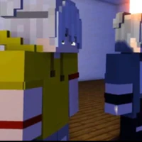 vid
