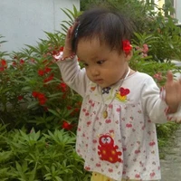 gaidep liqi