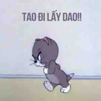 NVP nữ