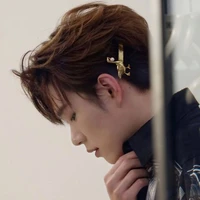 Trần Đăng Dương - Công Tử Phía Bắc.