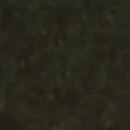 dàn topp
