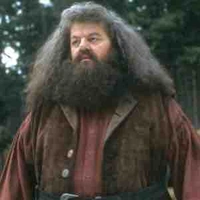 Rubeus Hagrid 