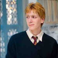 Fred Weasley 