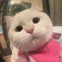 tg ác độc:))
