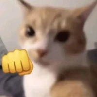tác giả ngôn lù