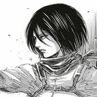 mikasa