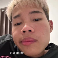 t/g trẩu