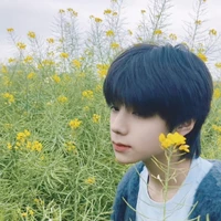 vương lỗ kiệt