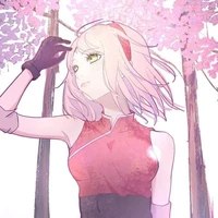 sakura haruno