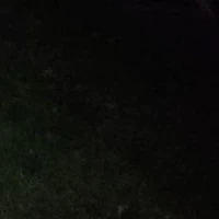 all