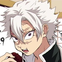 Sanemi Shinazugawa
