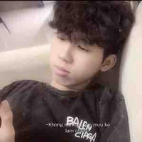 Hữu đạt_phonenix