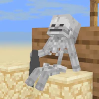 Skeleton