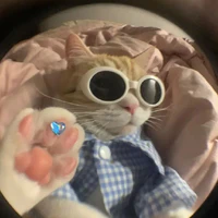 tg sì lay✨️<gọi là tg hoặc Huyền cũm đc>