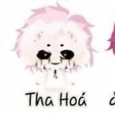 hiha tha hoá